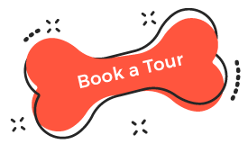 https://animal-city.nl/wp-content/uploads/2019/08/book_tour.png