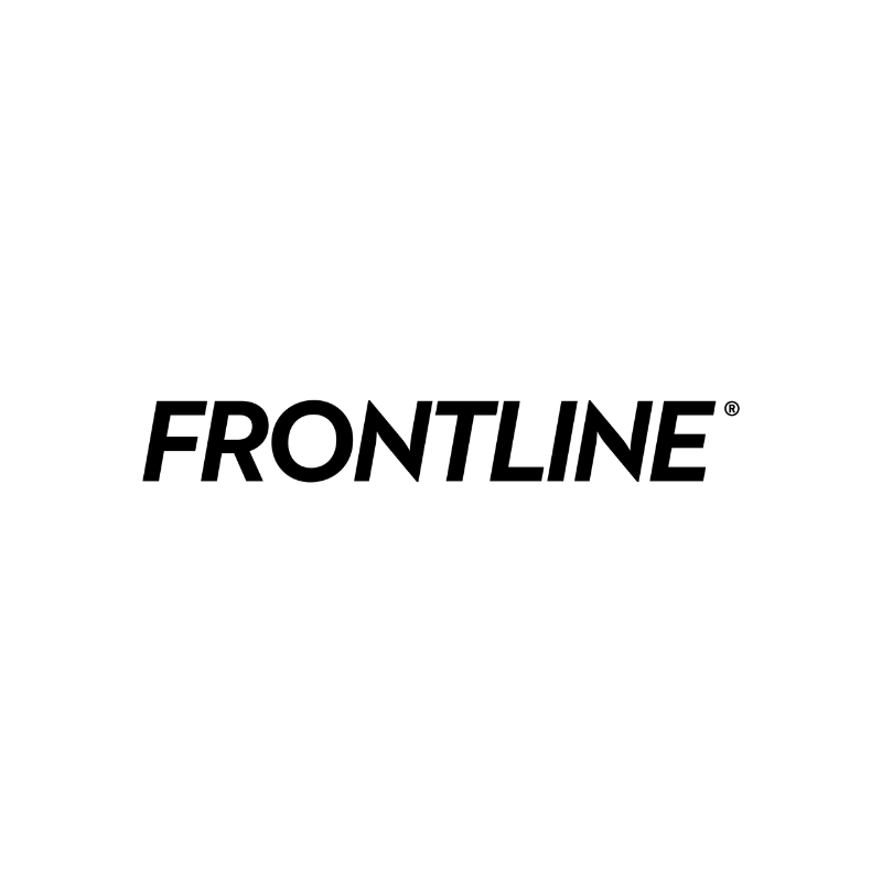 frontline-animalcity